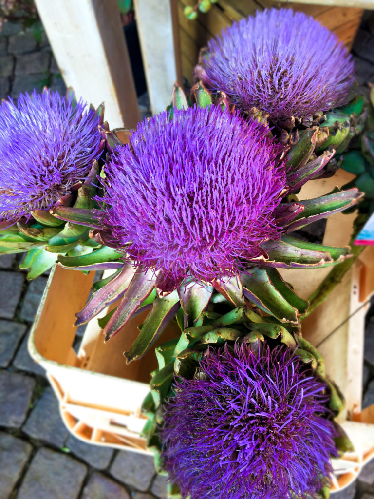 purple-flowers at the stadfest in Wiesbaden germany