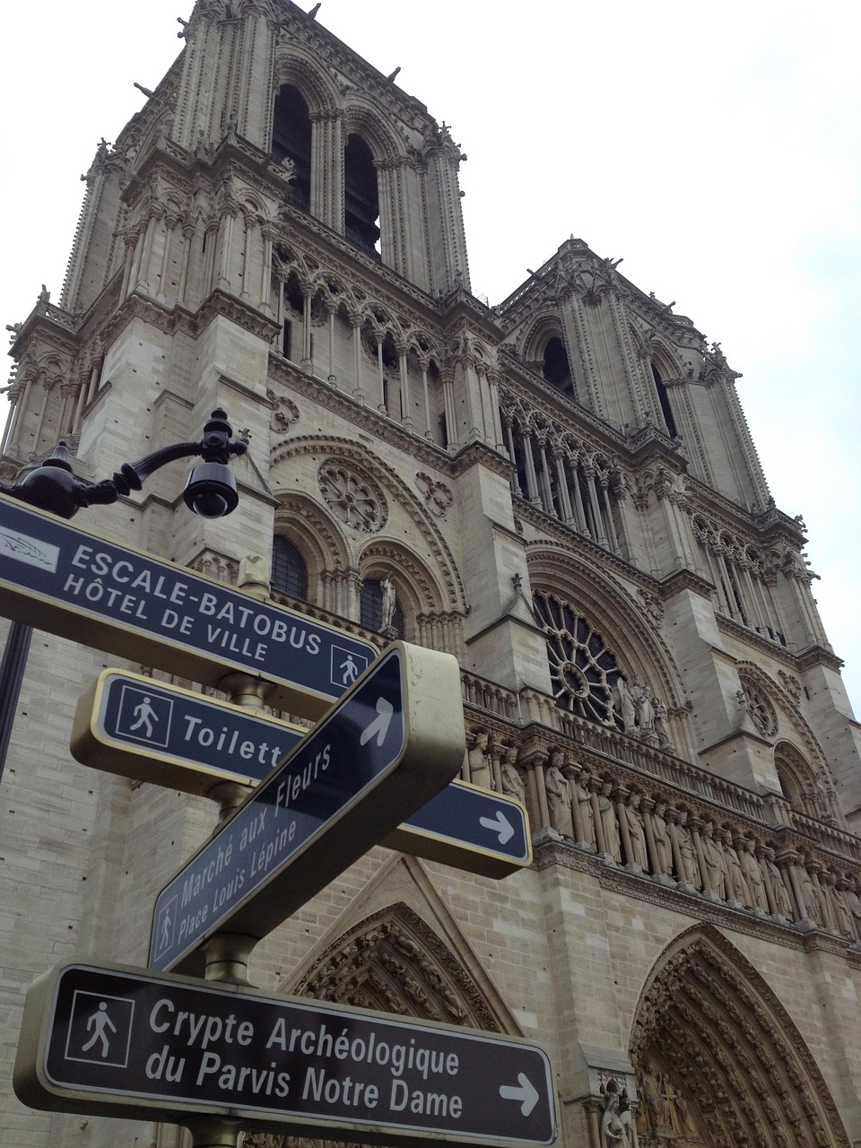 Photography - Image 7